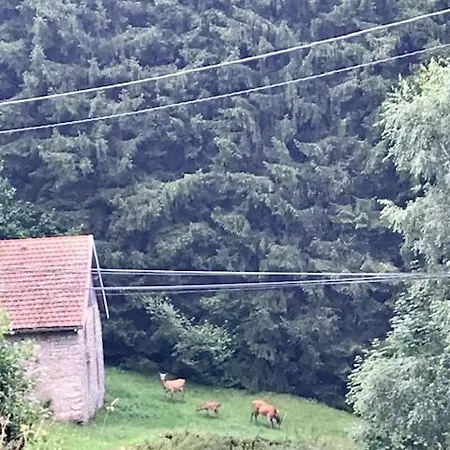 Au 21 Vosgien Ventron